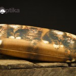 1216576455 bryle 142