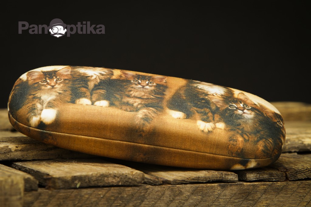 Brýlové pouzdro „KOČIČKY“