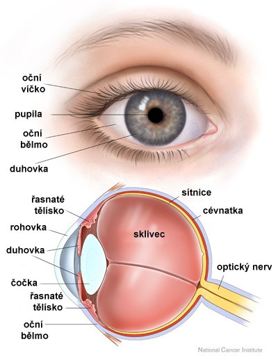 1667384754 schema oka